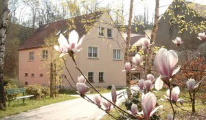 Blick auf das Heizhaus der Tobiasmühle, ein kleines Haus mit rosanem Anstrich, davor blüht ein Strauch