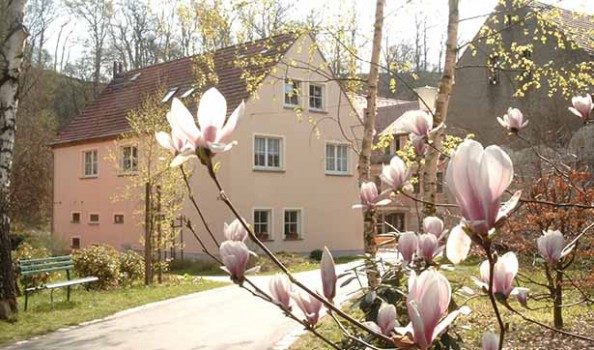 Blick auf das Heizhaus der Tobiasmühle, ein kleines Haus mit rosanem Anstrich, davor blüht ein Strauch